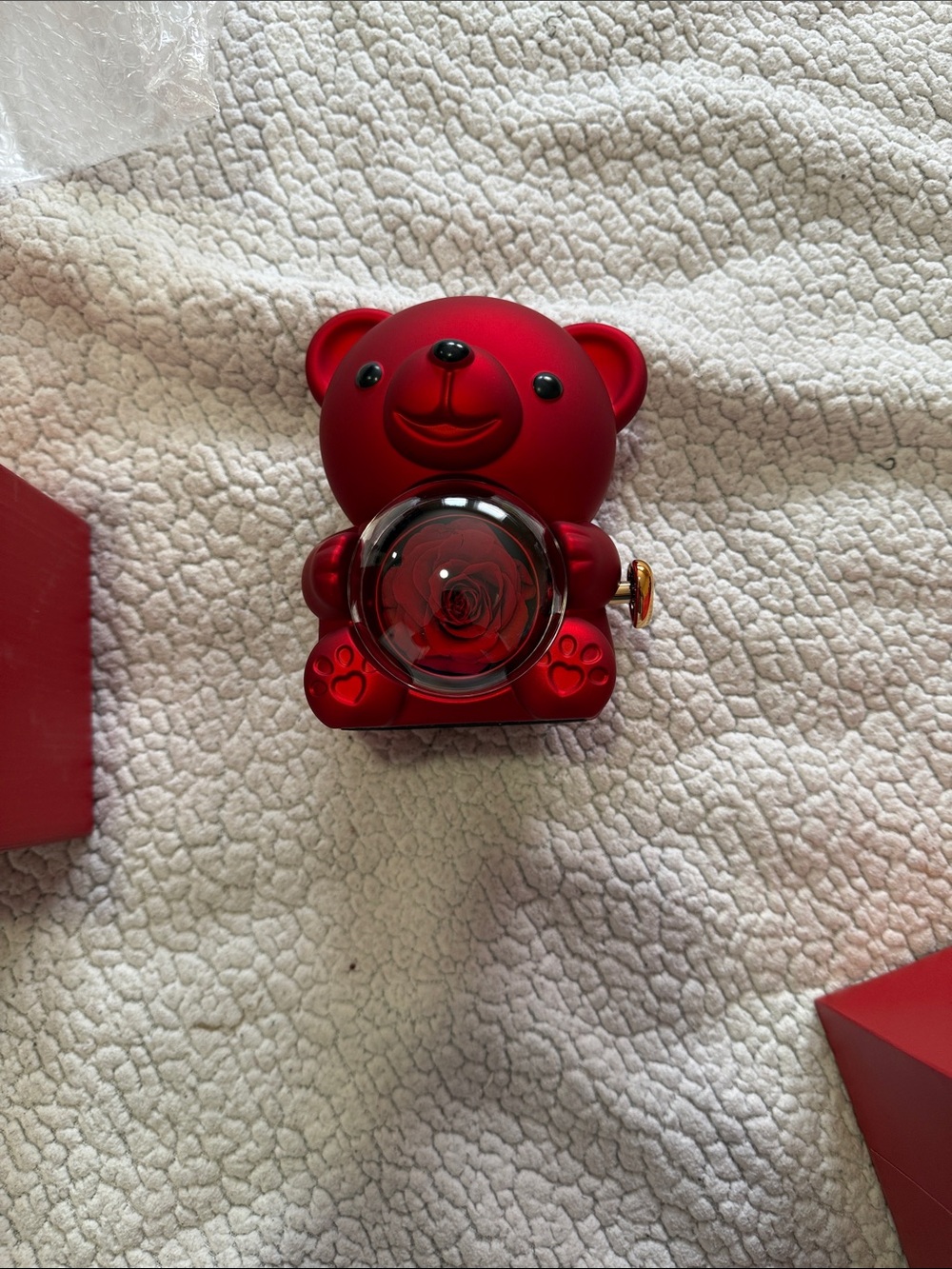 Bear - Picture 4 of 4